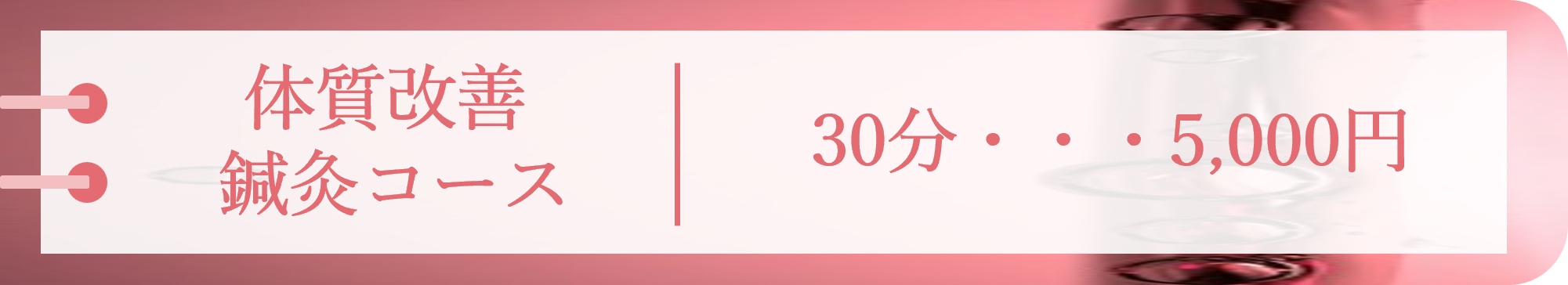 体質改善 鍼灸コース 30分 5,000円